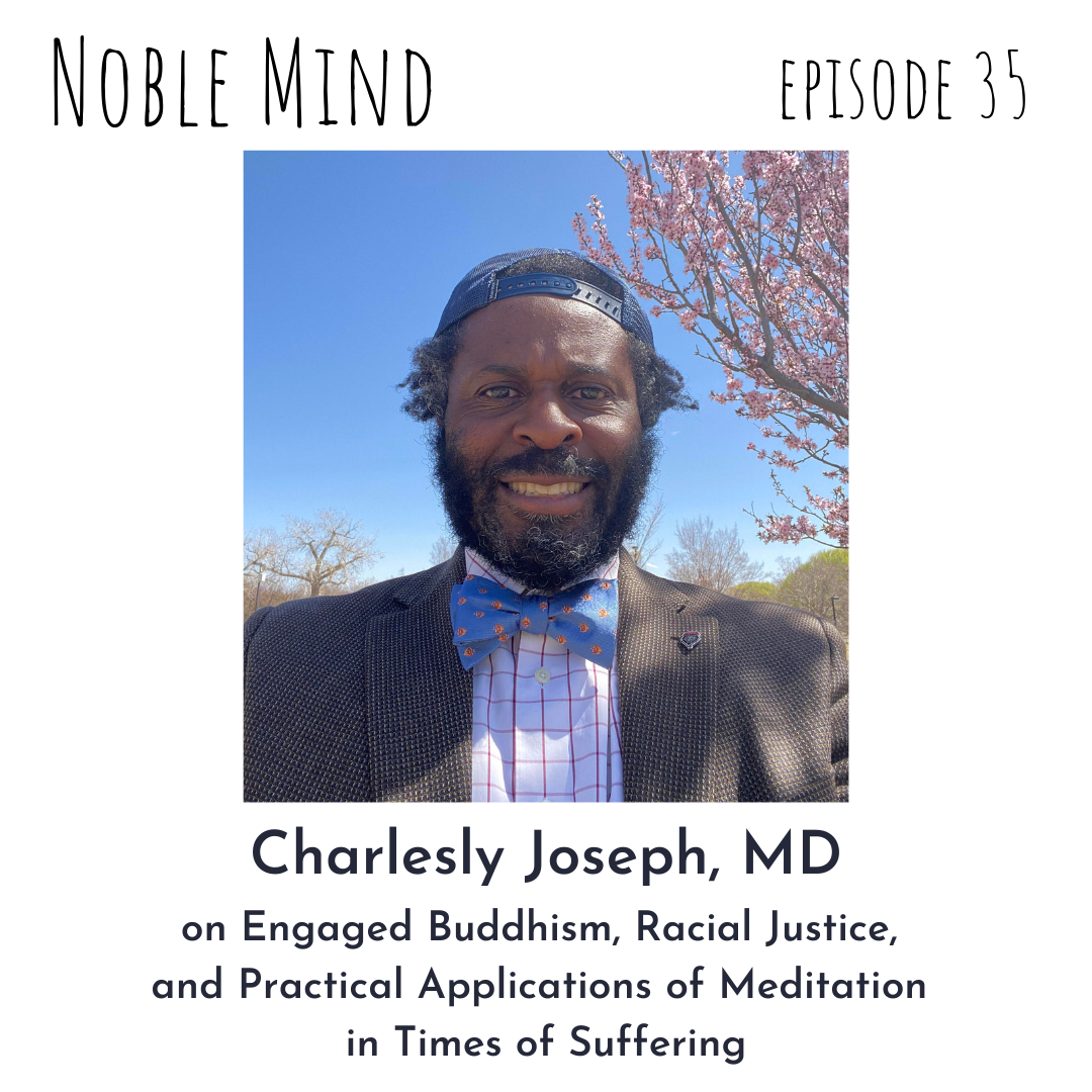 38 Janina Fisher – Noble Mind Podcast